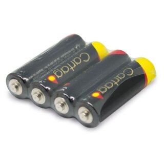 R6-AA Batterien